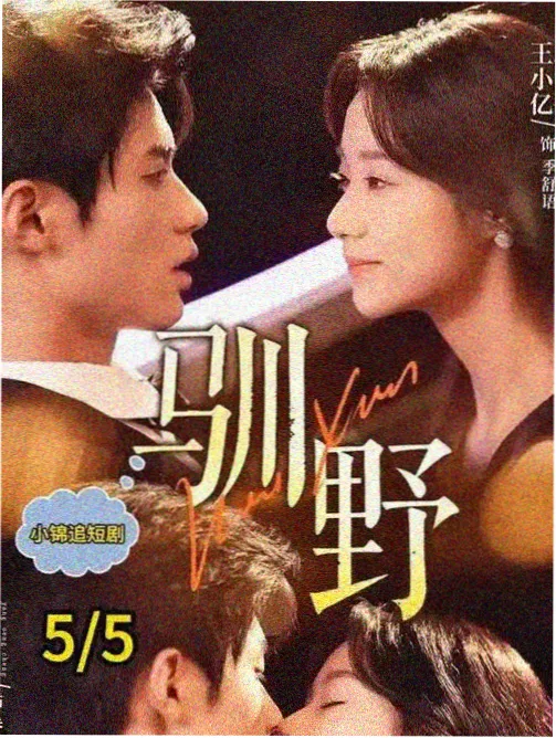 导演签名海报